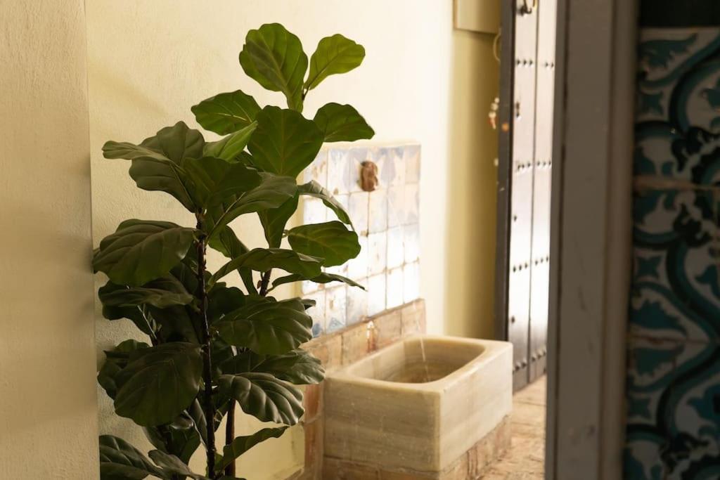 Nueva Casa Boutique En El Centro De Sevilla 外观 照片